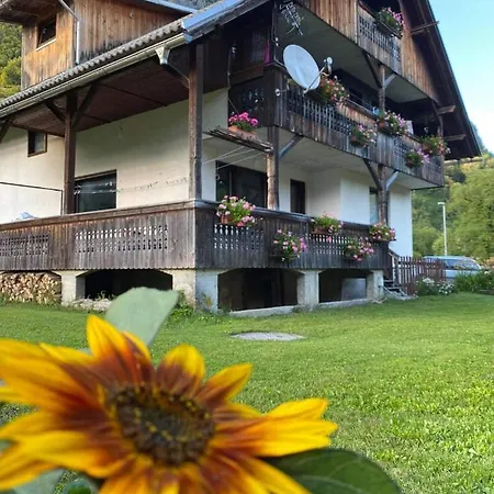 V&n, Apartment Bohinj